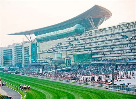 meydan racecourse fixtures 2023|Dubai Racing Club .